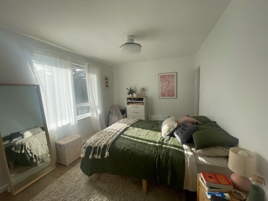 14699315-BRUNSWICK-1