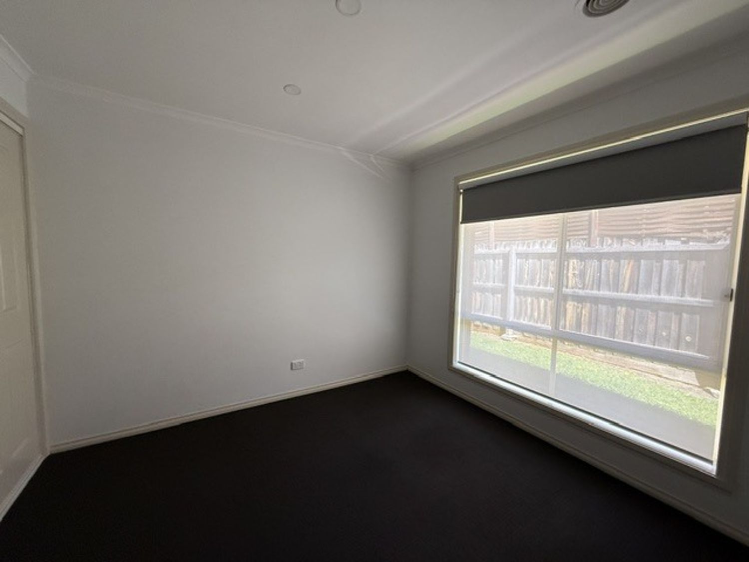 21679066-TULLAMARINE-12
