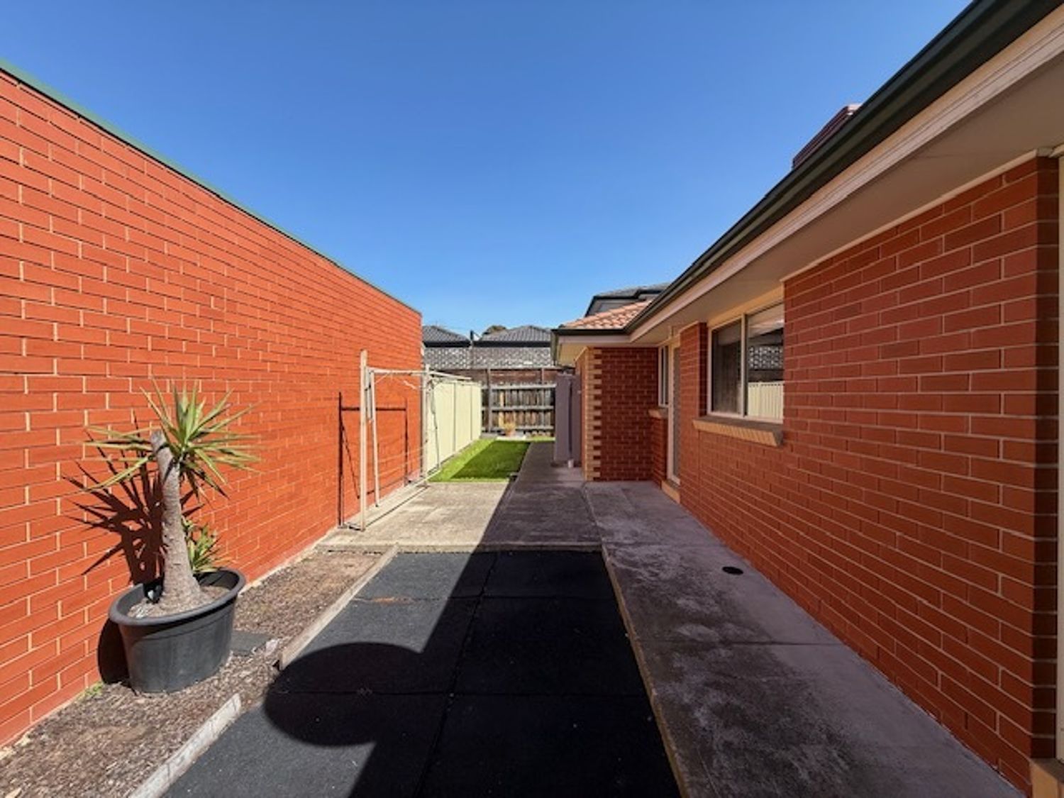 21679066-TULLAMARINE-2