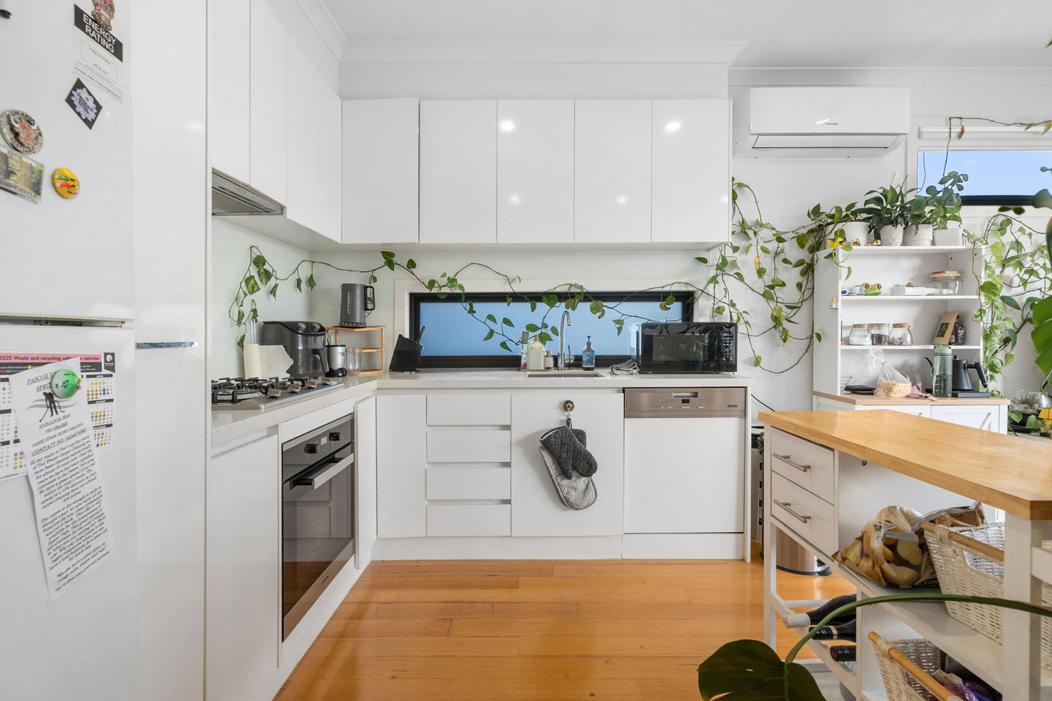 21680331-PASCOE-VALE-SOUTH-6
