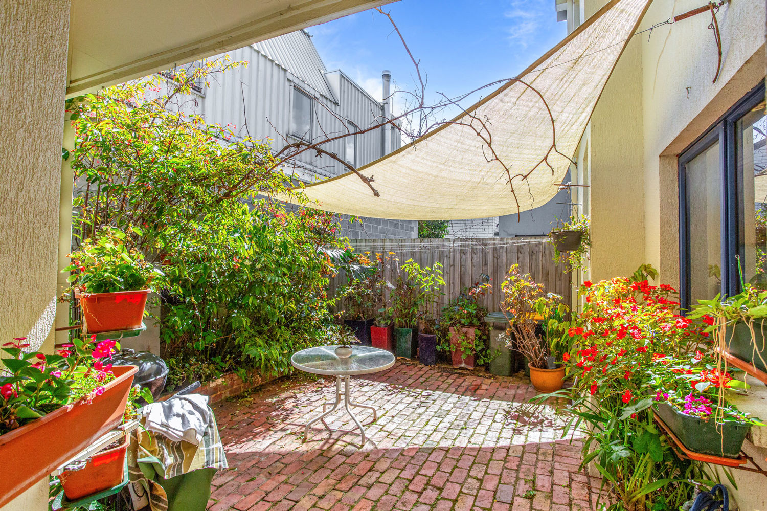 21680342-COLLINGWOOD-2